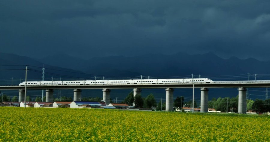 百里油菜花海位于青海省门源县,祁连山与大坂山之间的盆地,宁张公路