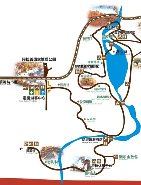 乌苏胡杨林景区在哪图片